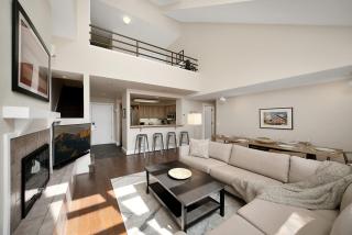 Blue Mesa 4 - True Ski Hike Bike Dine Condo 3 Bd 2.5 Ba Sleeps 8 - Telluride - 8