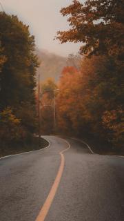 Coin cosy dans les bois - 2