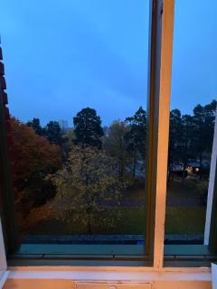 Beautiful apartment 5 minutes from the subway - 9