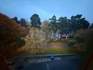 Beautiful apartment 5 minutes from the subway - 8