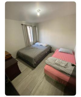 Casa llena de vida - 1