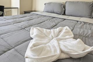 Modern Comfort and Resort Style Living Near CU - 3