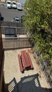 Brant Beach Ocean Side Dog Friendly - 4