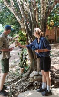 Mirador Jungle El Macuti - 9