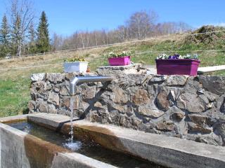 Gîte chaleureux avec poêle à bois et jardin à Lavoine - FR-1-489-332 - 3