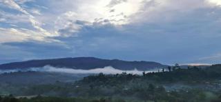 มานอนนี่แคมป์ เขาค้อ - 3