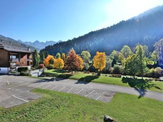 Confortable studio 4 pers avec balcon - Proche commerces et télécabines - FR-1-458-202 - 7