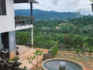 มานอนนี่แคมป์ เขาค้อ - 9