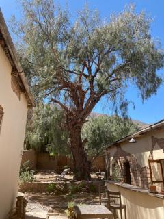 Refugio Caro Cox - 8