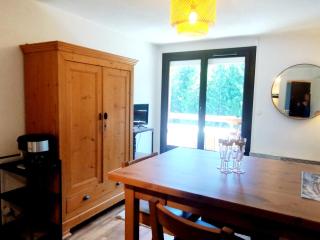 Appartement Confortable au Pied des Pistes - 2 Pièces avec Balcon, 9ème étage - FR-1-771-23 - 4