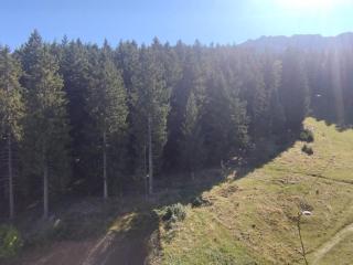 Appartement Confortable au Pied des Pistes - 2 Pièces avec Balcon, 9ème étage - FR-1-771-23 - 1