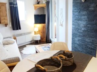 Charmant 2 pièces aux pieds des pistes, Les 7 Laux - FR-1-771-87 - 1