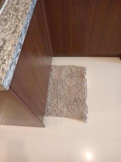 Singian's Condominium - 3