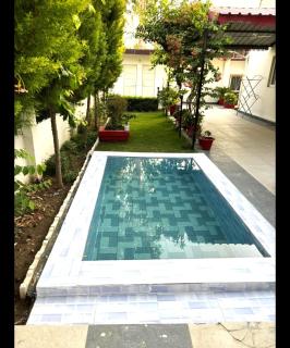 The Olive Greens - 3