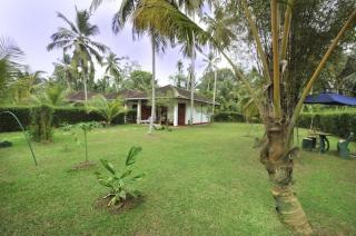 Dalmanuta Gardens - 3