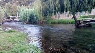 La cabaña del rio Rivadavia - 9