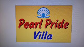 Pearl Pride Best Villa Udaipur - 1