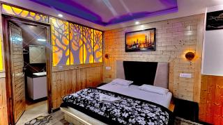 Rajmahal Inn Dalhousie - 9