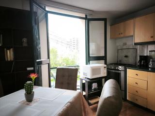 Comfortable Suite -San Blas near Basilica of Quito - 4