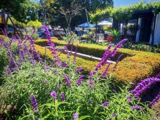 Villa ChoCoLatt Guest House and Porta Taverna Restaurant - 5