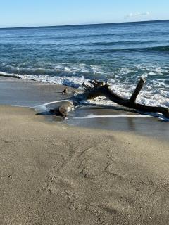 Studio design front de mer classé 3 étoiles - 7