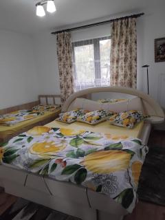 Cabana Acasă la Delia - Gîrda de Sus - 8