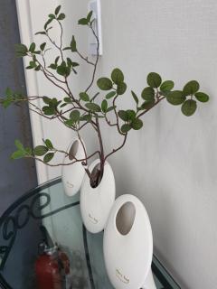 Daechi Sky Gangnam#COEX#Concert KSPO#강남세브란스병원#대치동학원가 - 6