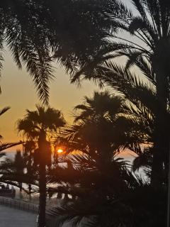 La paz del Mar en Arguineguin - 7