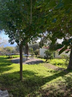 Δωμάτια Εξοχή - 9