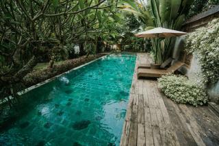 Gallery House at Semadi Living - 5