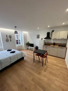 Studio neuf et élégant au centre de Vierzon - 0