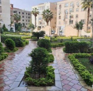 Family Apartment 4 Bedroom - 9