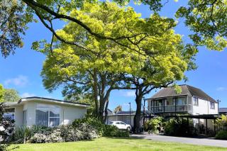 Ashleigh Court Motel-Christchurch Hagley Park - 0