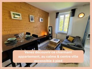 Colmar proche centre, marchés de Noël 10min à pied, parking gratuit F2 au calme - 0