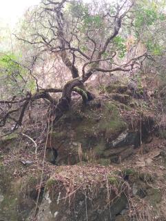 Casinha das Estrelas - 8