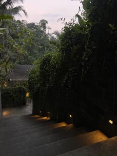 The Clifton Ubud Valley - 1