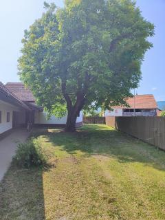Private house near Terme Čatež - 1