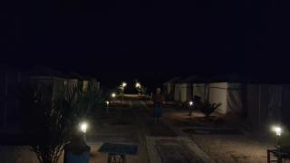 Desert Camel Trek - 3