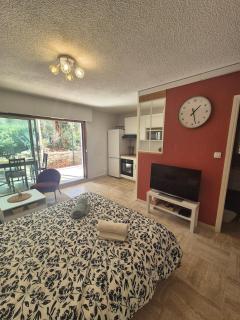 Studio avec jardin à Villeneuve-Loubet - 0