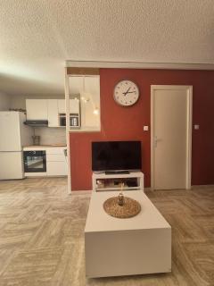 Studio avec jardin à Villeneuve-Loubet - 7