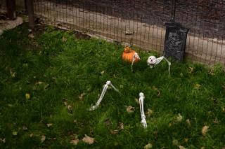 Casa Bucegi Busteni - 7