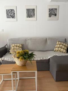 Apartamento Plaza - 5