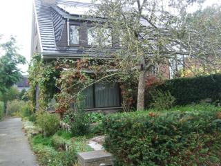 Bij het station van Drongen - 6