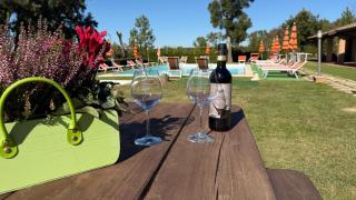 Alma del Lago - Charming Apartments - La Pesta - 5