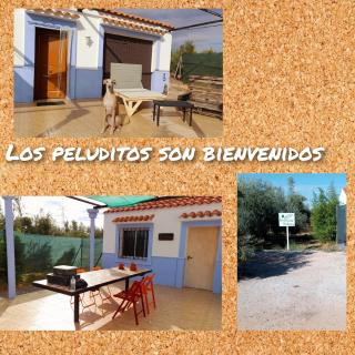 Casa Rural El Olivar Victoria - 5