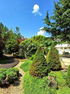 5-Star Spacious Beachfront Studio - 1