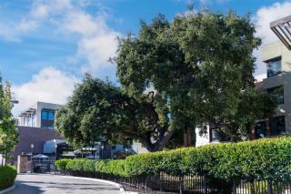 Homewood Suites by Hilton Palo Alto - 7