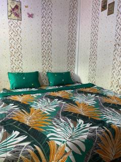 Explore Jungle Trek Guesthouse & Transport - 8