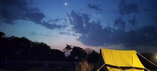 Kalinjar Permaculture Farm - 7