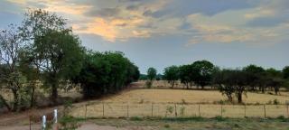 Kalinjar Permaculture Farm - 6